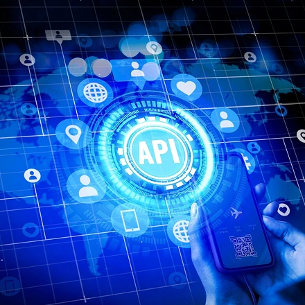API development & Integration